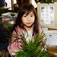 山村たいけんin東白川クリスマスクラフト体験と花餅作り（名古屋地区）写真