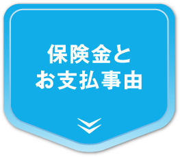 保険金とお支払事由