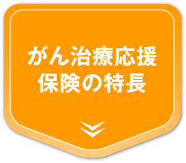 がん治療応援保険の特長