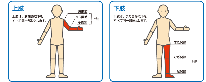 身体障害内容における同一部位の説明図