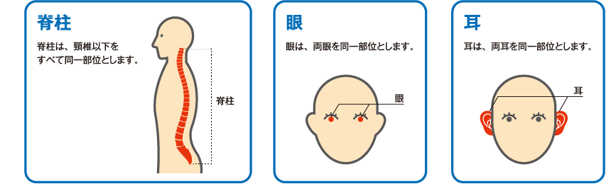 身体障害内容における同一部位の説明図