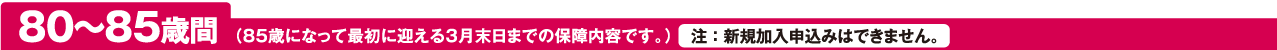 80～85歳間