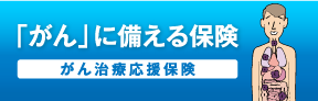 がん治療応援保険