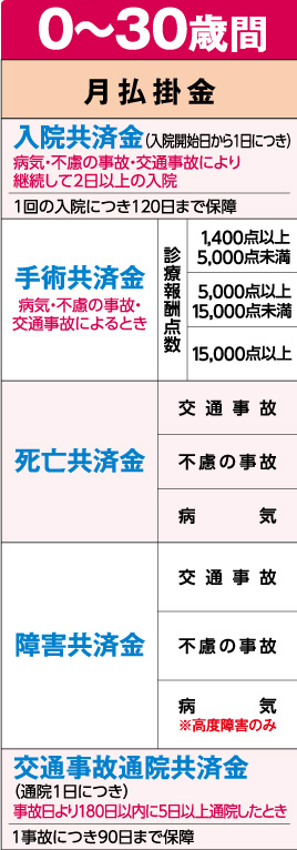 0～30歳