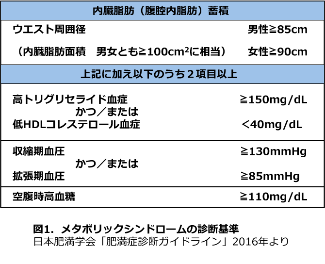 第4回 いまさら聞けないメタボリックシンドローム 予防医学としての食を学ぶ