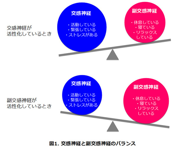 第16回 自律神経を整える 予防医学としての食を学ぶ