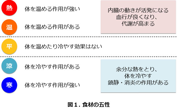 第29回 冷えと食事 予防医学としての食を学ぶ