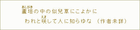 蘆垣【あしがき】の中の似兒草にこよかにわれと咲【えま】して人に知らゆな（作者未詳）