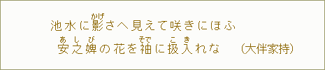 池水に影【かげ】さへ見えて咲きにほふ安之婢【あしび】の花を袖【そで】に扱入【こき】れな（大伴家持）