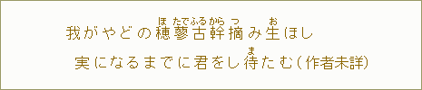 我がやどの穂【ほ】蓼【たで】古【ふる】幹【から】摘【つ】み生【お】ほし実になるまでに君をし待【ま】たむ（作者未詳）