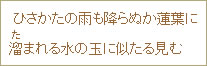 ひさかたの雨も降らぬか蓮葉に溜（た）まれる水の玉に似たる見む
