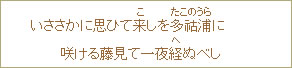 いささかに思ひて来（こ）しを多祜浦（たこのうら）に咲ける藤見て一夜経（へ）ぬべし