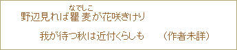 野辺見れば、嬰麦（なでしこ）が花咲きけり　我が待つ秋は近付くらしも　（作者未詳）