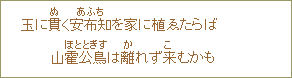 玉に貫く安布知を家に植ゑたらば山霍公鳥はなれず来むかも