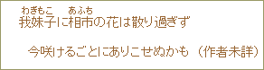 我妹子に相市の花は散りすぎず今咲けるごとにありこせぬかも（作者未詳）