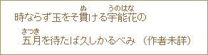 時ならず玉をそ貫ける宇能花の五月を待たば久しかるべみ（作者未詳）