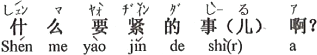 中国語：何の大事なことなの？