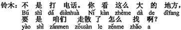 中国語：電話を掛けるのではありません。ほら、こんなに広い場所で、もしはぐれてしまったら、どうやって捜すのですか。