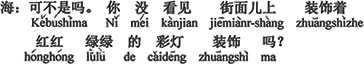 中国語：そうなんだ。（君は）街のあちこちで飾られている色とりどりできらびやかな（飾り）ちょうちんの飾りをみなかったの？