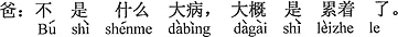 中国語：（何か）大きな病気ではなく、たぶん疲れているのでしょう。