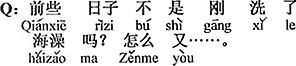 中国語：先日海水浴をしたばかりじゃないか。なぜまた...