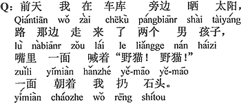 中国語：おととい、僕が車庫の横で日向ぼっこをしていたら、道の方から二人の男の子が歩いて来て、（口で）「ノラ猫、ノラ猫」と叫びながら、僕に向かって石を投げた。