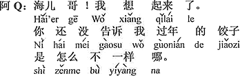 中国語：兄ちゃん。僕、思い出した。僕に年越し餃子はどう違うのかをまだ教えてくれていないよ。