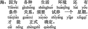 中国語：いろいろな生活環境や条件の関係があり、一週間のトライアルが必要で、やっと正式に決める（ことができる）。