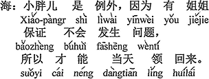 中国語：小デブちゃんは例外で、おねえさんの保証があるから問題が起らず、だから当日連れて帰って来ることが出来た。