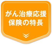 がん治療応援保険の特長