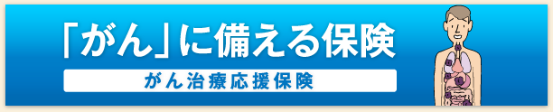 がんに備える保険